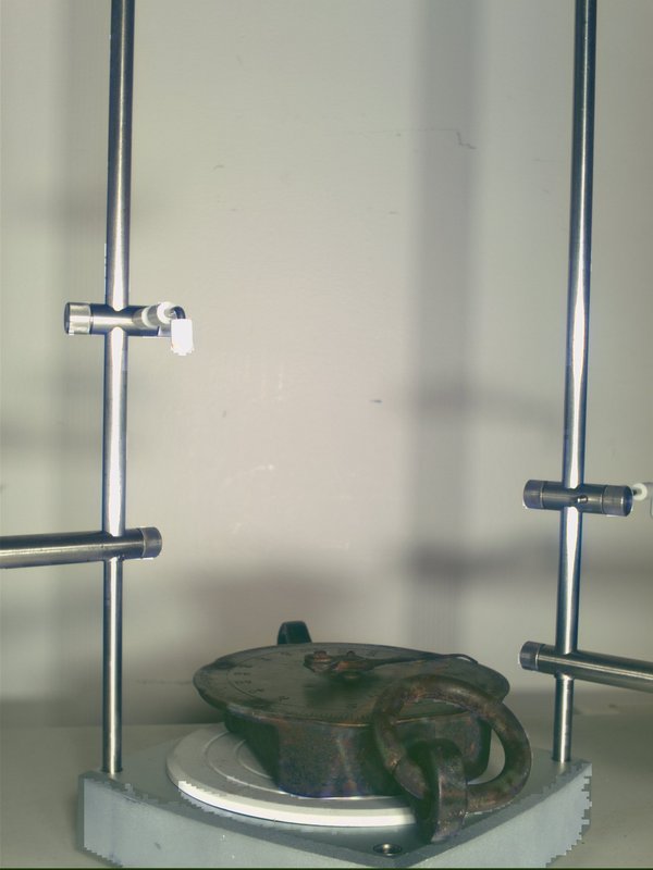 scale_T10.jpg