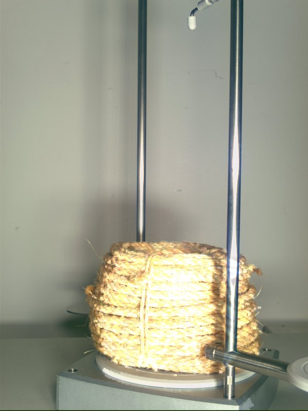 fishing_rope_T10.jpg