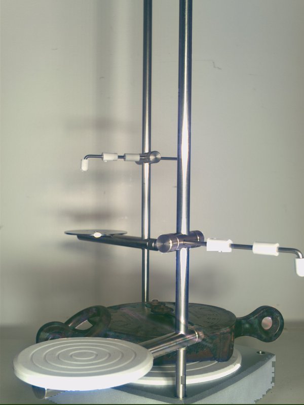 scale_T12.jpg