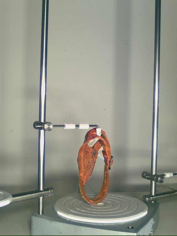 knuclke_thingy_T12.jpg